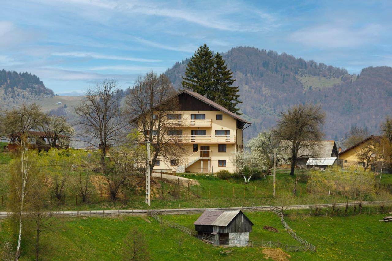 Transylvanian House Drumu Carului Extérieur photo