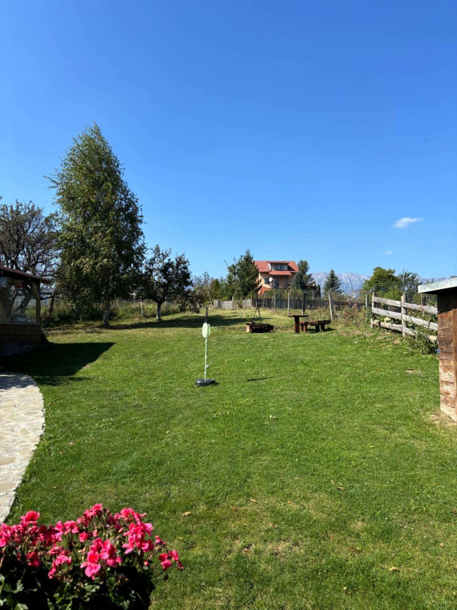 Transylvanian House Drumu Carului Extérieur photo